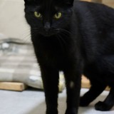 05d6ee53-0c53-4d80-9a37-8d707f447435