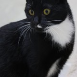 1543f615-ff4d-458f-a620-7dd1607724ab