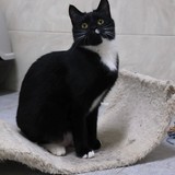 7c1674f4-bf61-4508-9f1b-b26e0410de10