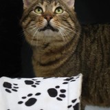 104f7053-926d-437c-9eba-05a203523253