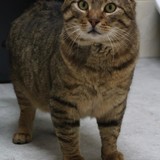 49522ceb-b6f4-410c-937f-166bf2fdbdc1