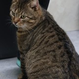 8db513da-c8cd-481d-924b-841dbc8177ed