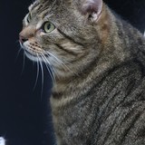 3d0db86f-2a20-4fce-9450-f1b339bcfc50