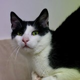 7fd8188c-4bce-4849-b60d-e487f06c38bf