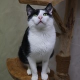 1f9e6928-0a52-4f41-b5f0-925f43d5c119