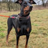 PXL_20260208_135536008.PORTRAIT