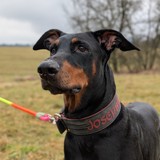 PXL_20260208_135539785.PORTRAIT