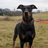 PXL_20260208_135707838.PORTRAIT