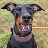 PXL_20260208_135231868.PORTRAIT