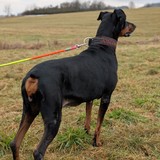 PXL_20260208_135437689.PORTRAIT