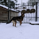 PXL_20260127_155604982.MP~2