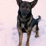 PXL_20260127_155638134~2