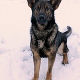 PXL_20260127_155650407~2