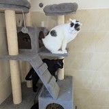 PXL_20250318_151807320