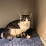 9912ef65-6c52-4836-a67f-5ea6e6c462b4