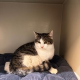 d9501fe8-f8b7-4d81-ab53-0bf5a12874c1