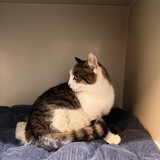 ce7846af-2039-49a0-b76b-33de7679b6ea