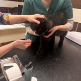 267a8728-f615-4e81-9731-02654c4c2864