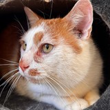 312e226a-a54a-4f2f-b1d7-46210c4939a3