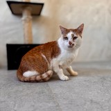 00cfdb42-d8e9-41f4-b49d-0ffe963d5a7d