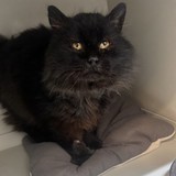 86e44927-75e8-43b1-b016-311d49f944c9