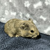 704e0910-d9d6-4edf-ba57-6d7b375e80ee