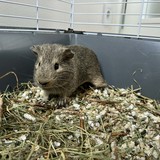 1695a0d5-2967-4381-a980-533ce4b721db