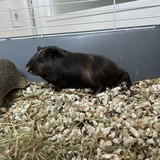 0b7e95f3-203a-4274-9587-a2d7aaf91bd2