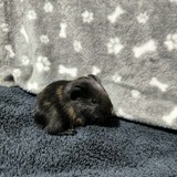 d1ecac82-e7c3-4be8-bc0a-938dd7078ab9