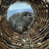 70100ddb-0405-4b1a-b2da-3af44f8ffc06