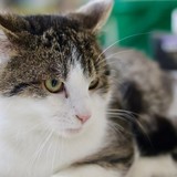 45dbaec7-e51e-4ab2-82ad-4af4aabfb710