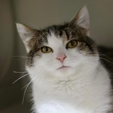 82b3214e-7c38-477e-84e4-1f103af8dac4