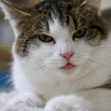 a062fa83-4f8f-4aa3-aa5b-b6f56cdd2429