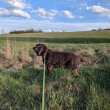 PXL_20260405_154123143.MP