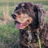 PXL_20260405_154427738.PORTRAIT