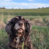 PXL_20260405_154506030.PORTRAIT