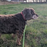 PXL_20260405_154528471.PORTRAIT