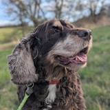 PXL_20260405_154641651.PORTRAIT