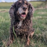 PXL_20260405_154725926.PORTRAIT