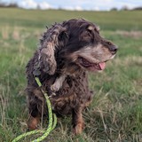 PXL_20260405_154911620.PORTRAIT