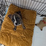 PXL_20260410_083635413.MP