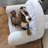 PXL_20260411_102135593.MP~2