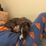 PXL_20260411_091717961