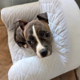 PXL_20260411_102131314~2