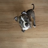 PXL_20260410_072821545.MP~2