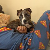 PXL_20260411_091718958