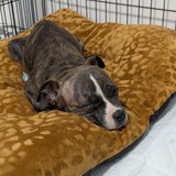 PXL_20260410_083457868