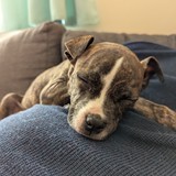 PXL_20260411_121447253