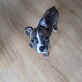 PXL_20260410_072706468