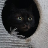 c67dddfe-7c5f-43dd-8fb3-2a707f6fb885